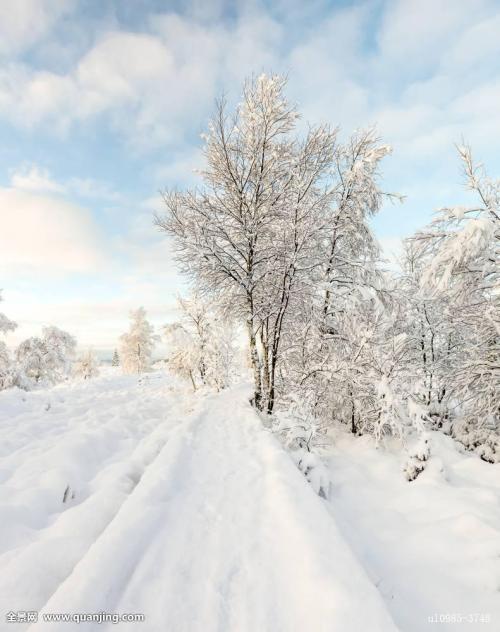 雪