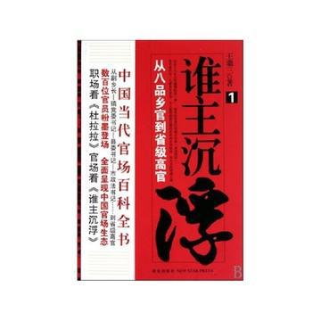 谁主沉浮:从八品乡官到省级高官