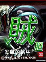贼胆