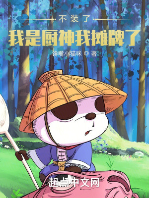 不装了，我是厨神我摊牌了！小说封面