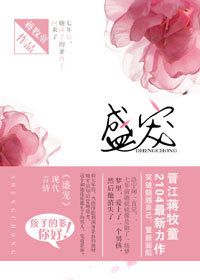 盛宠小说封面