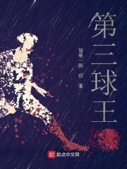 第三球王小说封面