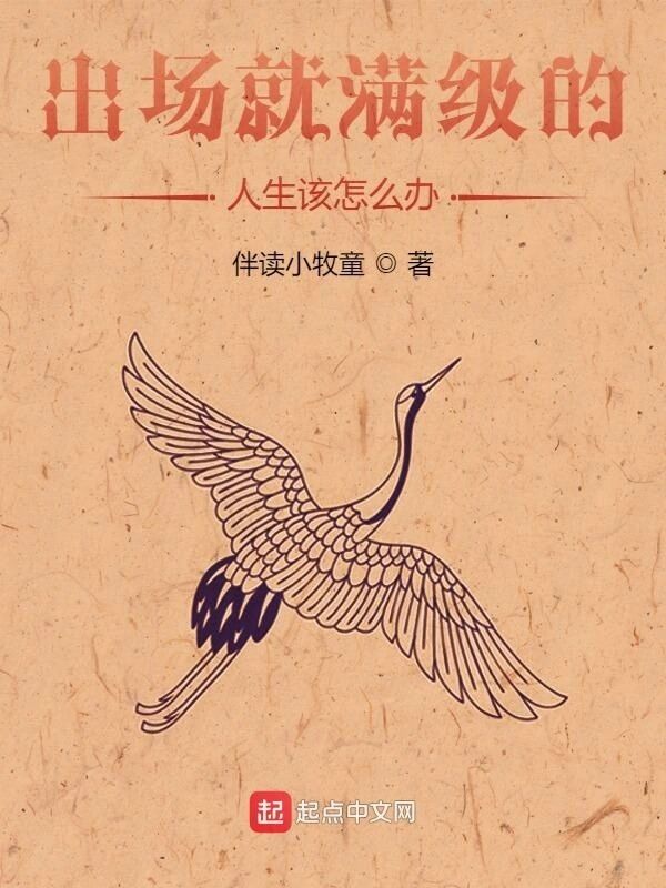 出场就满级的人生该怎么办小说封面