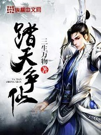 踏天争仙小说封面