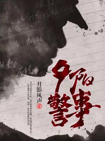 夕阳警事小说封面