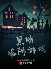 黑暗塔防游戏小说封面