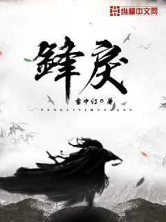 锋戾小说封面