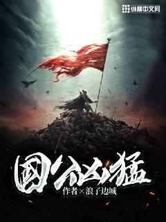 国公凶猛小说封面