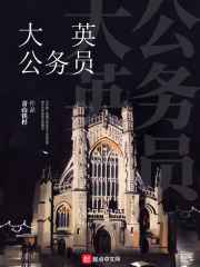 大英公务员小说封面