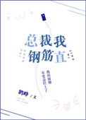 总裁我钢筋直小说封面