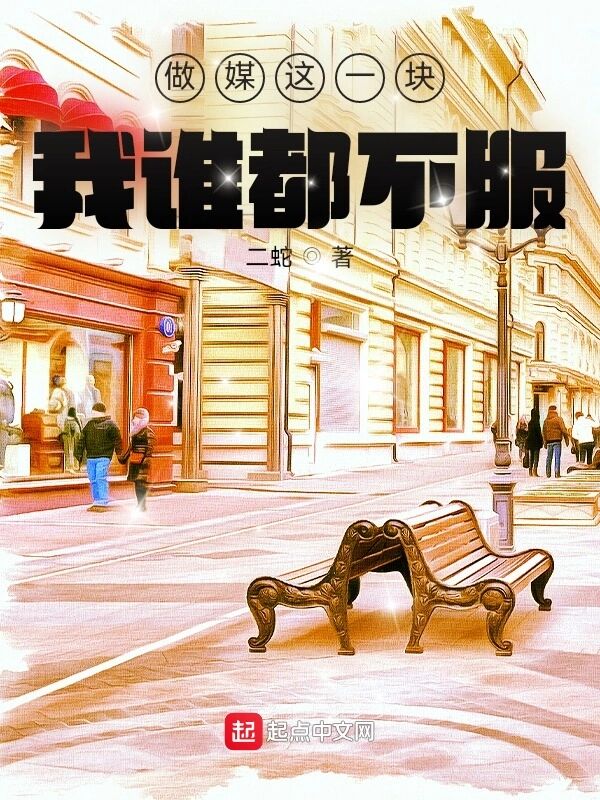 做媒这一块，我谁都不服小说封面