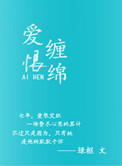 爱恨缠绵小说封面