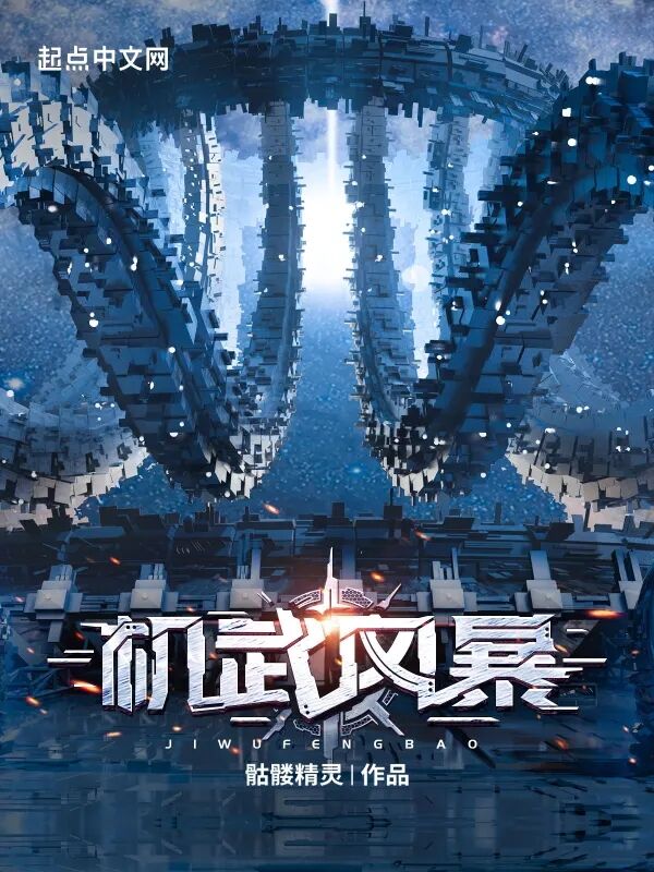 机武风暴小说封面