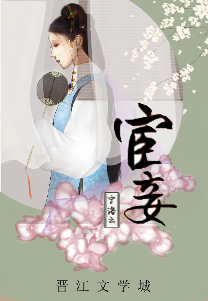 宦妾小说封面