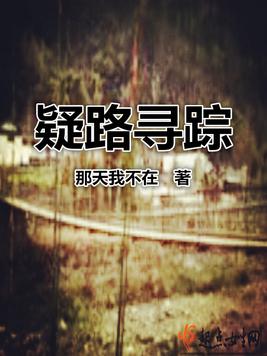 疑路寻踪小说封面