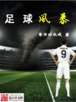 足球风暴小说封面