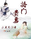 将门贵妻小说封面
