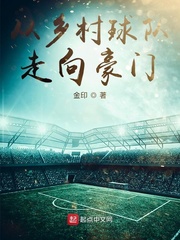从乡村球队走向豪门小说封面