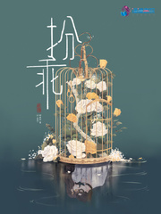 扮乖小说封面