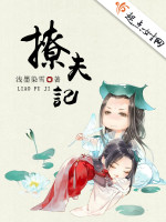 撩夫记小说封面