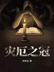 灾厄之冠小说封面