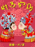 驸马守则小说封面