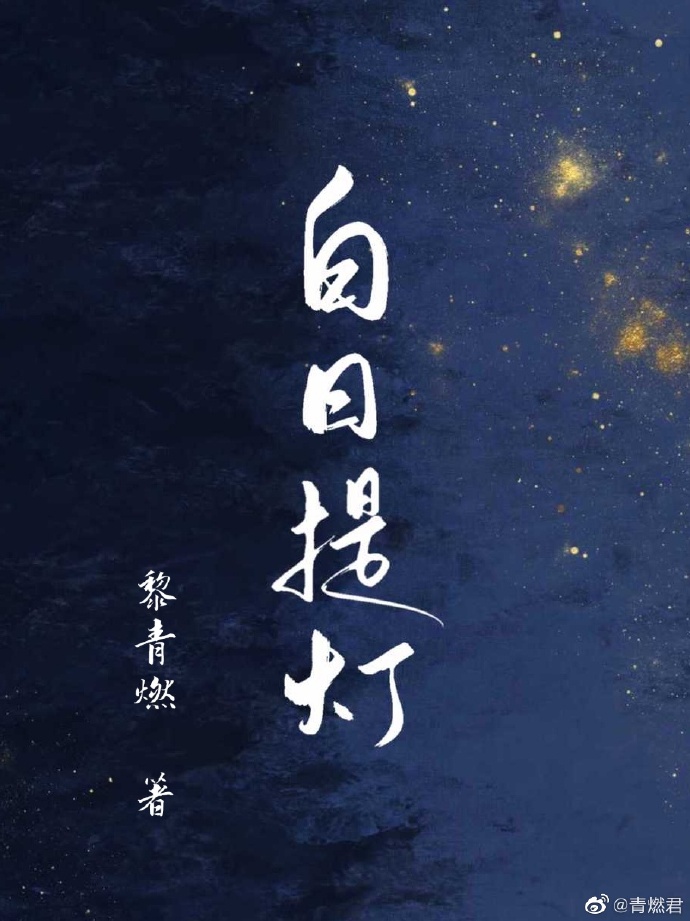 白日提灯小说封面