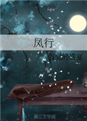 凤行小说封面