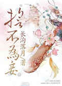誓不为妾小说封面