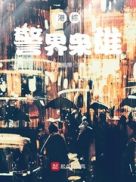 港综警界枭雄小说封面
