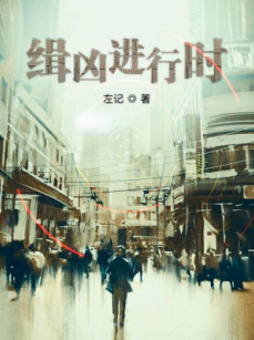 缉凶进行时小说封面