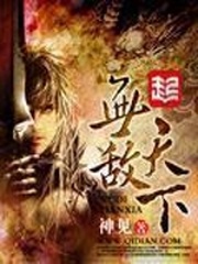 无敌天下小说封面