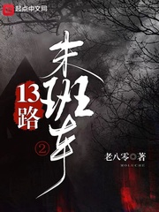 13路末班车2小说封面