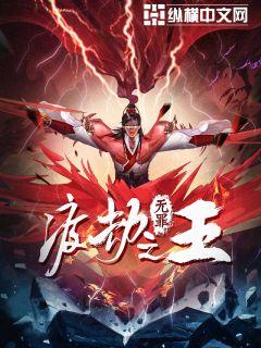 渡劫之王小说封面