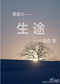 生途小说封面