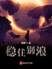 稳住别浪小说封面