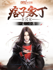 痞子家丁在汉宋小说封面