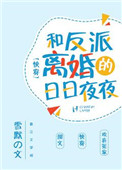 和反派离婚的日日夜夜小说封面