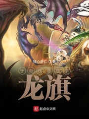 于新世界高举龙旗小说封面