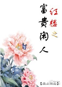 红楼之富贵闲人小说封面