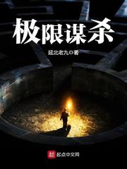 极限谋杀小说封面