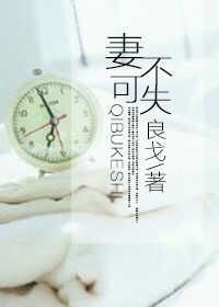 妻不可失小说封面