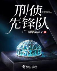 刑侦先锋队小说封面