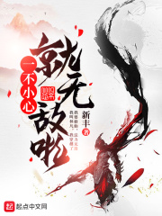 一不小心就无敌啦小说封面