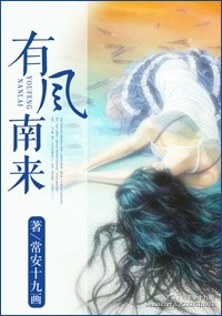 有风南来小说封面