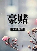 豪赌小说封面