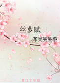 丝萝赋小说封面