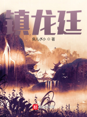 镇龙廷小说封面