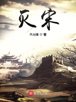灭宋小说封面