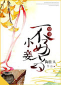 小妾不好当小说封面